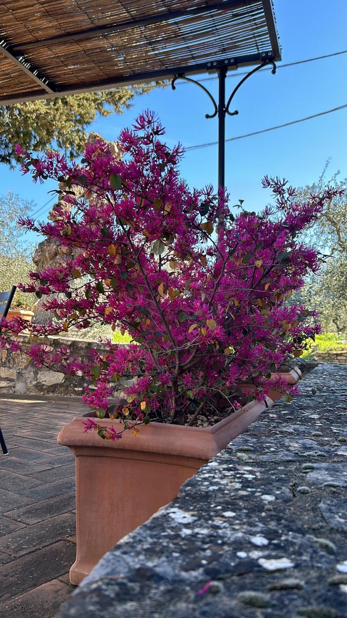 ガイオーレ・イン・キアンティ Borgo A Monti Di Sottoヴィラ エクステリア 写真